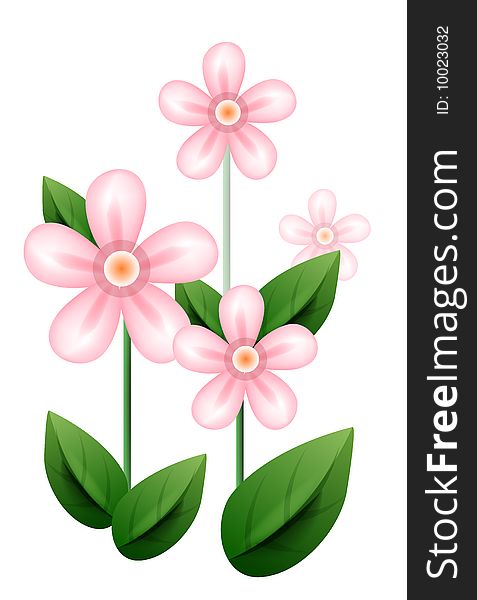 Pink flower with green leaves on the white background
