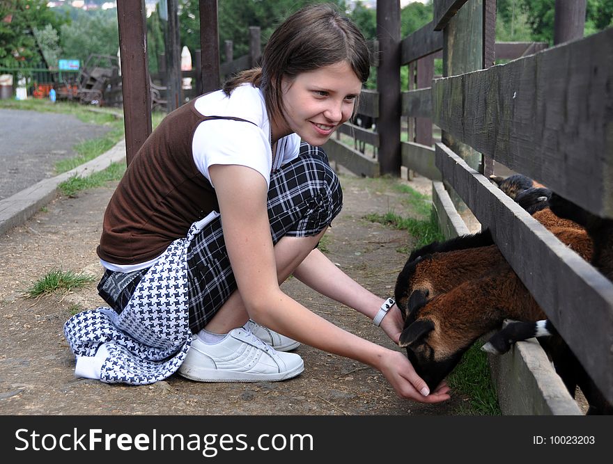 Little girl feeding goats on farm