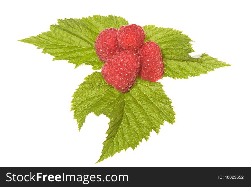 Raspberries with green leaf on white background