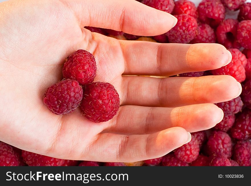 Hand with raspberry on raspberry background