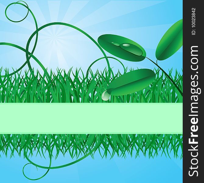 Ecological banner with a grass. Vector illustration