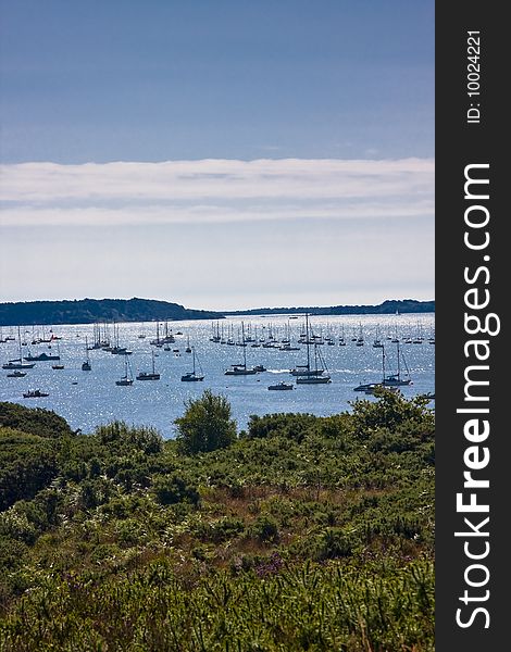 Dorset coastline of gorse, boats, sea and sky. Dorset coastline of gorse, boats, sea and sky