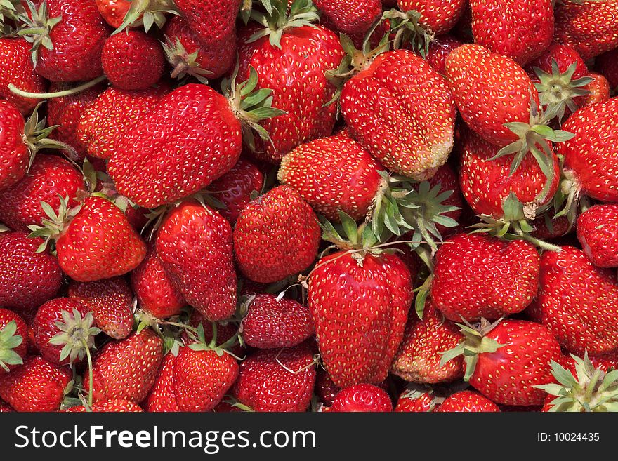 Freshly picked garden strawberries background. Freshly picked garden strawberries background