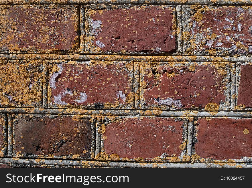 Old mossy brick wall texture. Old mossy brick wall texture