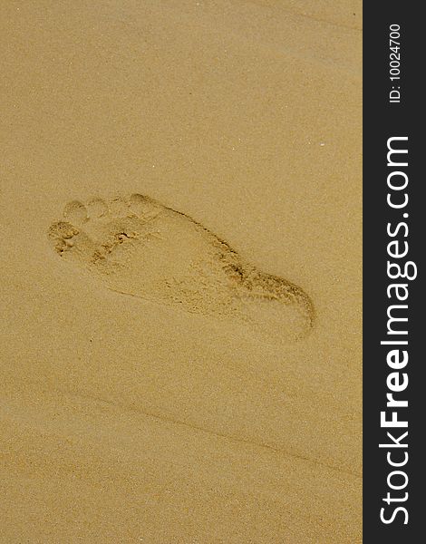 A new footprint on the sand beach. A new footprint on the sand beach