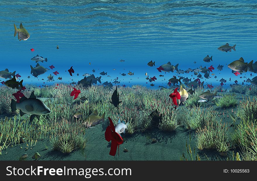 Scene of fish under water