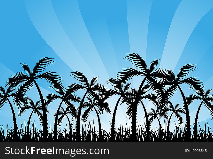 Vector illustration of Palm Trees