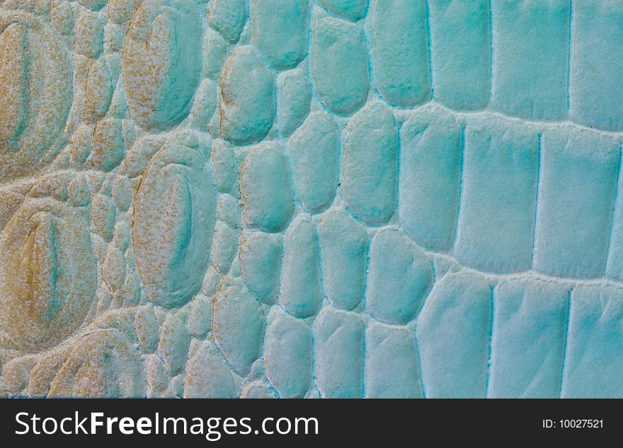 Reptile leather macro studio shot