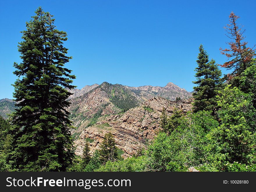 Picture of the mountains in Utah with trees in the foreground. Picture of the mountains in Utah with trees in the foreground.