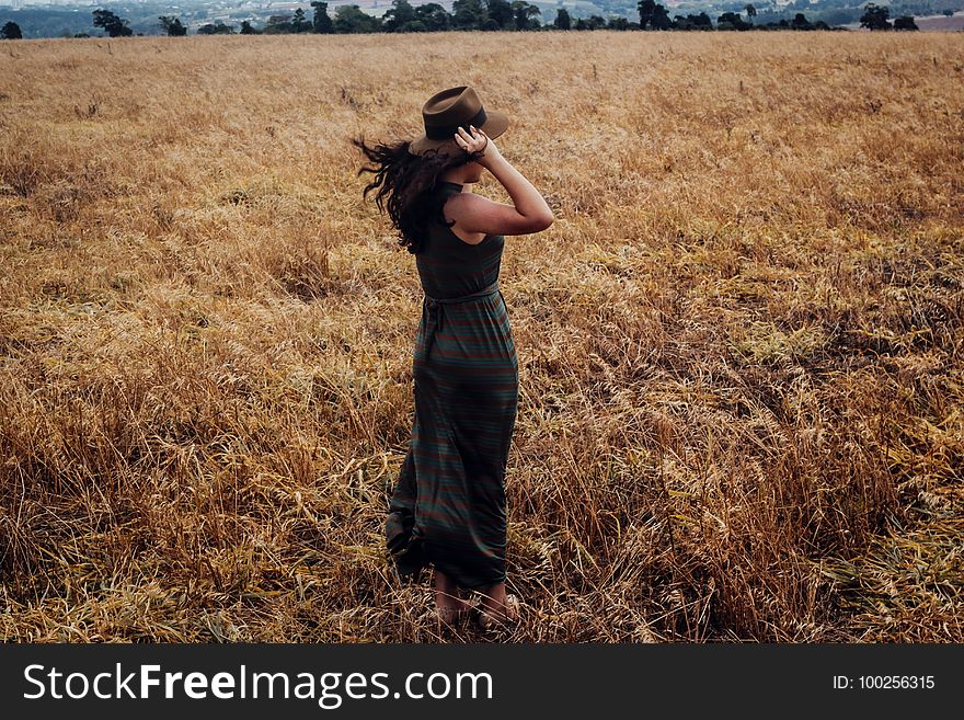 Field, Ecosystem, Grass Family, Grass