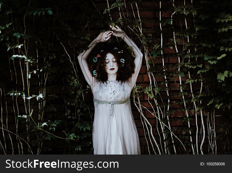 Darkness, Dress, Girl, Tree