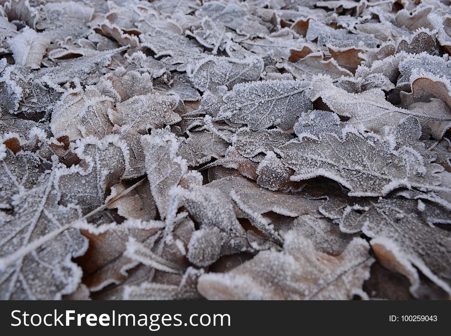 Frost, Freezing, Geology, Winter