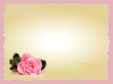 Frame For Picture With Rose Royalty Free Stock Photo Frame For Picture With Rose Royalty Free Stock Photo