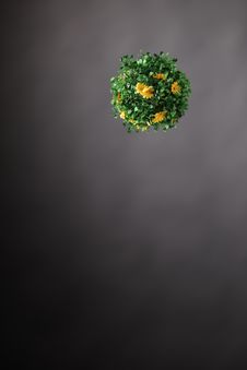 Sphere From Colours And A Grass Against A Dark Bacground Royalty Free Stock Images Sphere From Colours And A Grass Against A Dark Bacground Royalty Free Stock Images