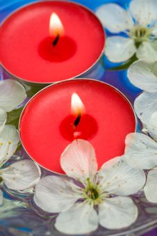 Candle With Spring Flowers Royalty Free Stock Images Candle With Spring Flowers Royalty Free Stock Images