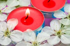Candle With Spring Flowers Stock Image Candle With Spring Flowers Stock Image