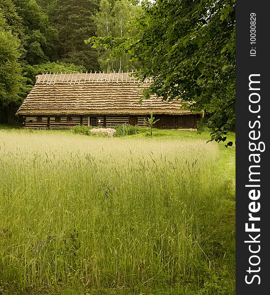 Wheat field with old houses in the background