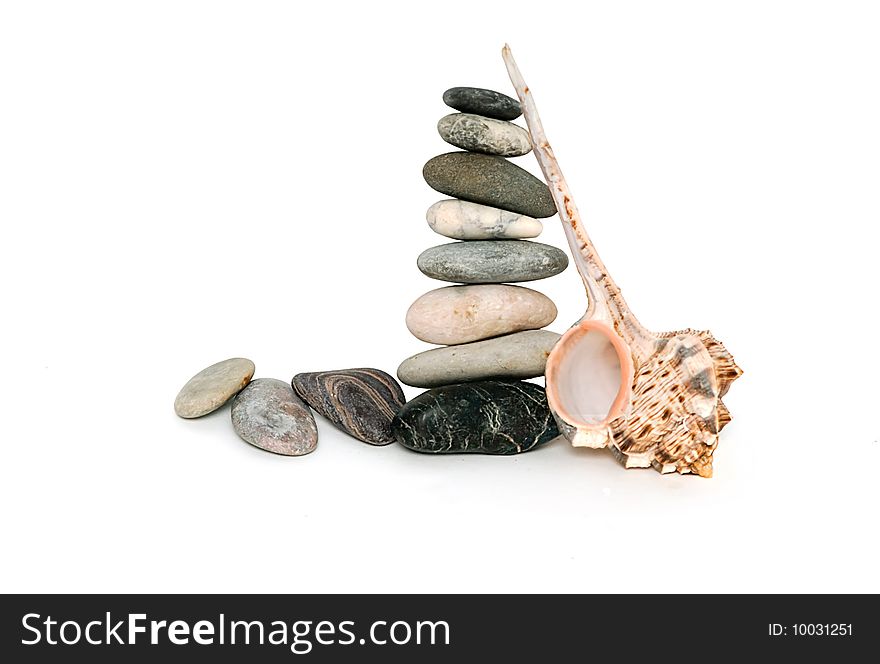 Pile of pebbles and sea shell isolated on white backgrund