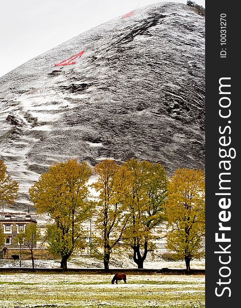 Snow view of tibetan village at Shangri-la China