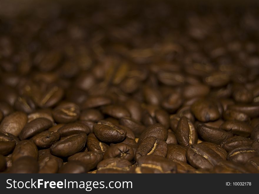 A fresh batch of coffee beans