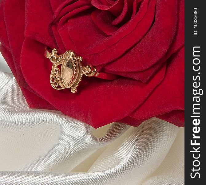 Gold ring whith red rose on white satin. Gold ring whith red rose on white satin