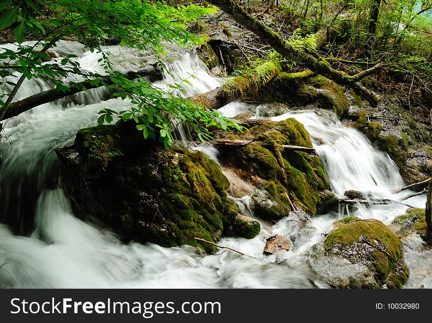 This is in Jiuzhaigou of Sichuan China, which has the most beautiful，most crystal-clear water. The brook is galloping on the stone, giving us a sense of vitality. I shot the scene at a low shutter speed so that the brook became a silk. This is in Jiuzhaigou of Sichuan China, which has the most beautiful，most crystal-clear water. The brook is galloping on the stone, giving us a sense of vitality. I shot the scene at a low shutter speed so that the brook became a silk.