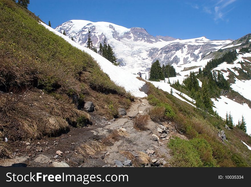 Paradise trail in Mt Rainier, Washington, in the spring time