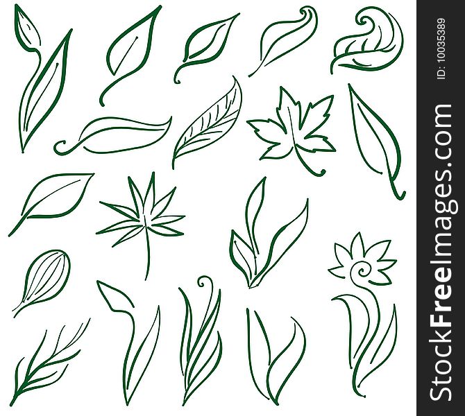 Set of free hand illustrations of leafs and plants. Set of free hand illustrations of leafs and plants