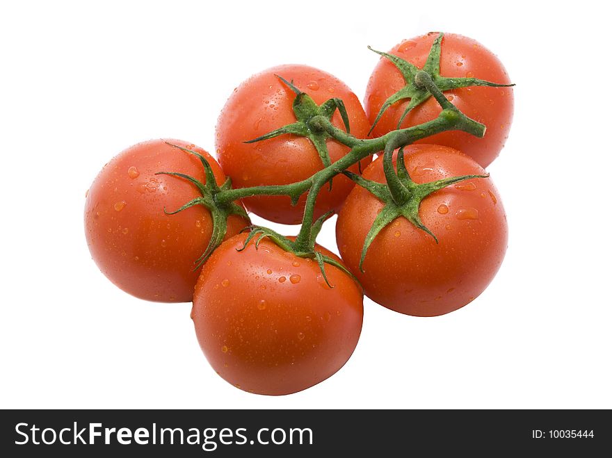 Branch Of Tomatoes