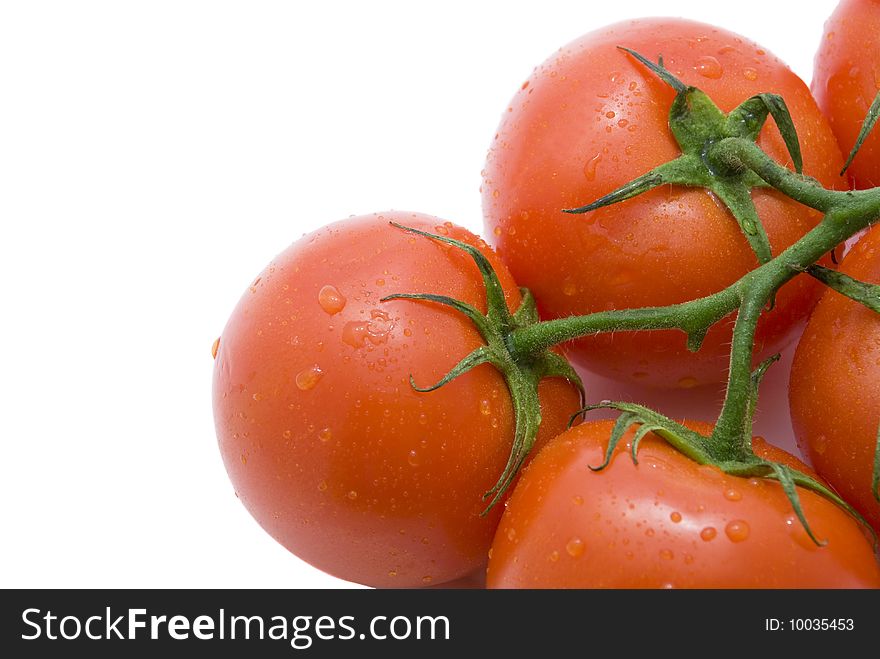 Branch of fresh tomatoes isolated on white