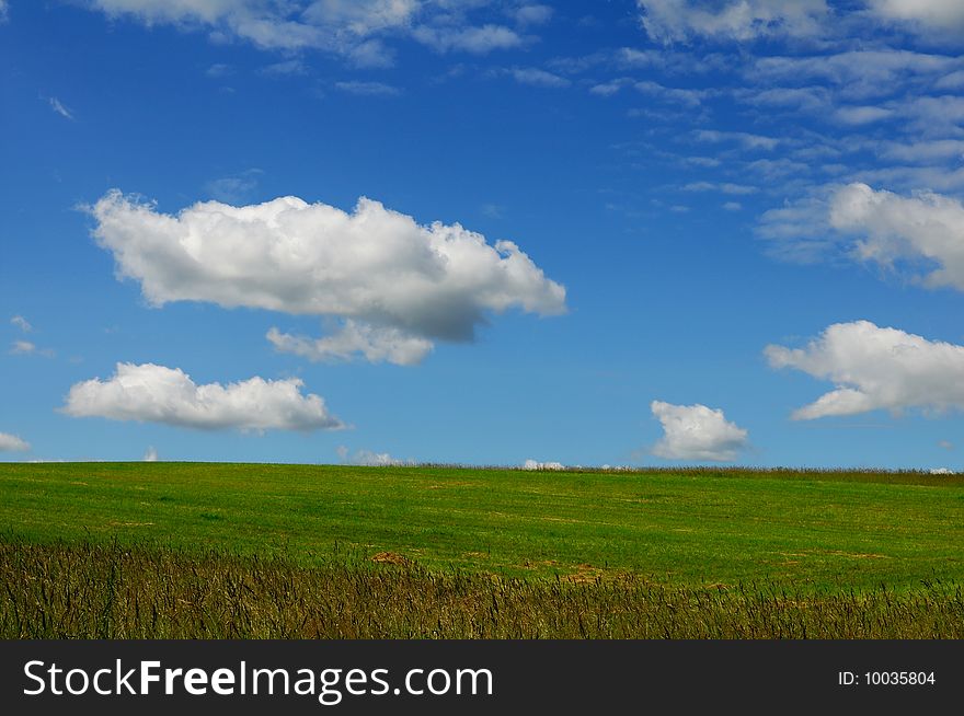 Beauty field of green grass and blue cloudy sky