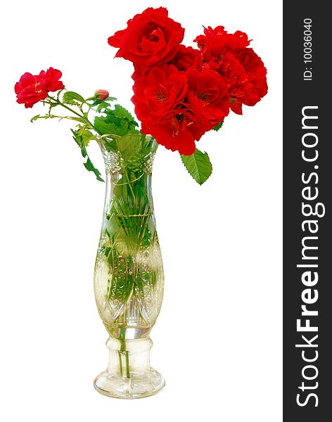 Isolated Bouquet Roses in Vase on White