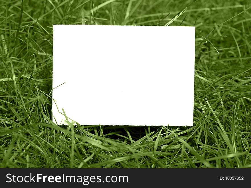 Green grass with copy space. Green grass with copy space