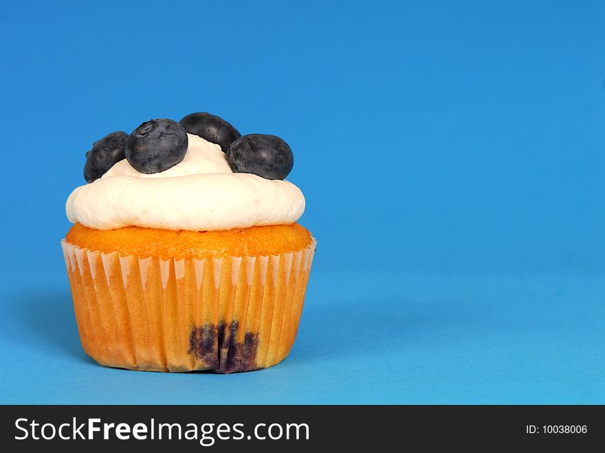 Freshly baked vanilla cupcake with blueberries and whipped cream