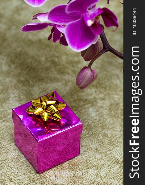 Gift Box With Orchid