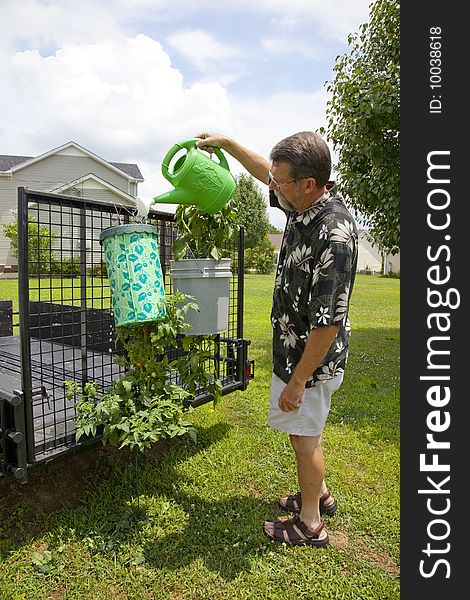 Home owner watering an above ground garden, local ground is not able to support plant life