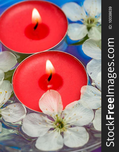 Candle with spring flowers in water