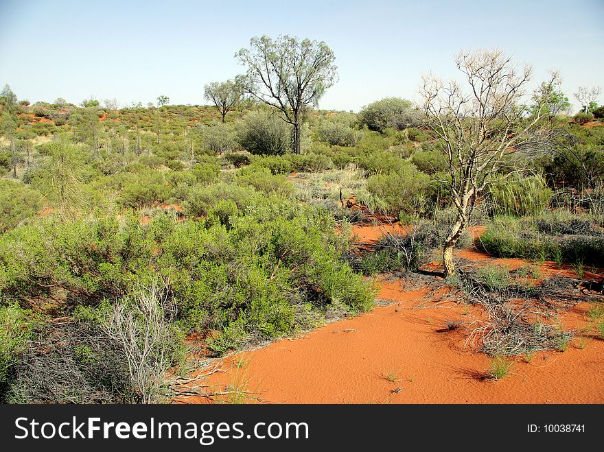 Detail of the Red Centre - Australian desert. Detail of the Red Centre - Australian desert.