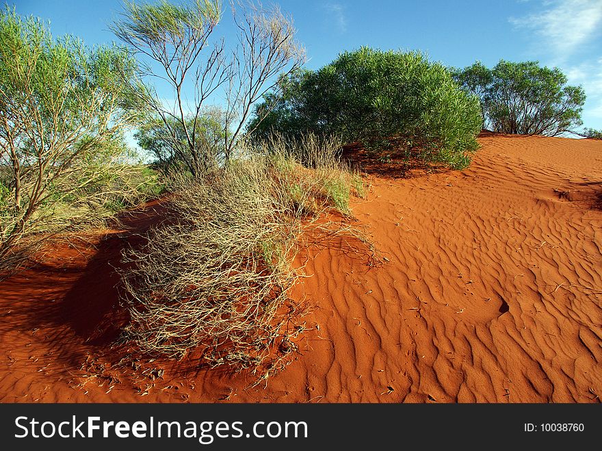 Sand dune in the Red Centre - Australian desert. Sand dune in the Red Centre - Australian desert.