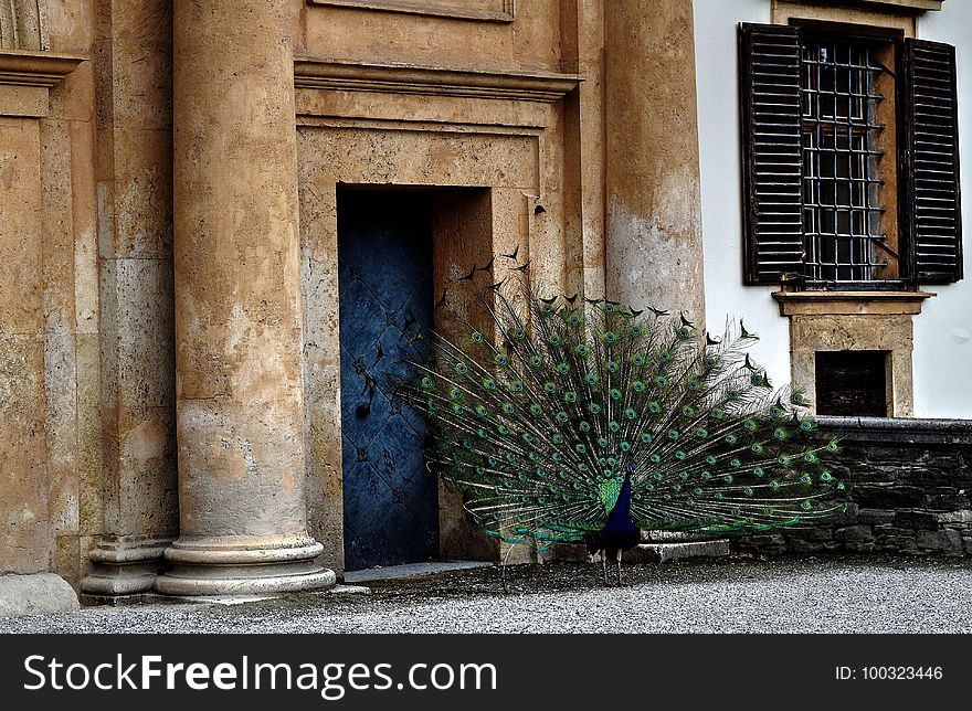 Wall, Window, Door, Architecture