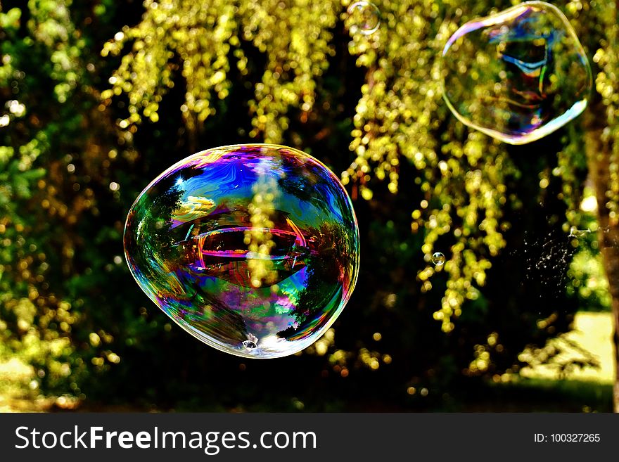 Nature, Reflection, Liquid Bubble, Water