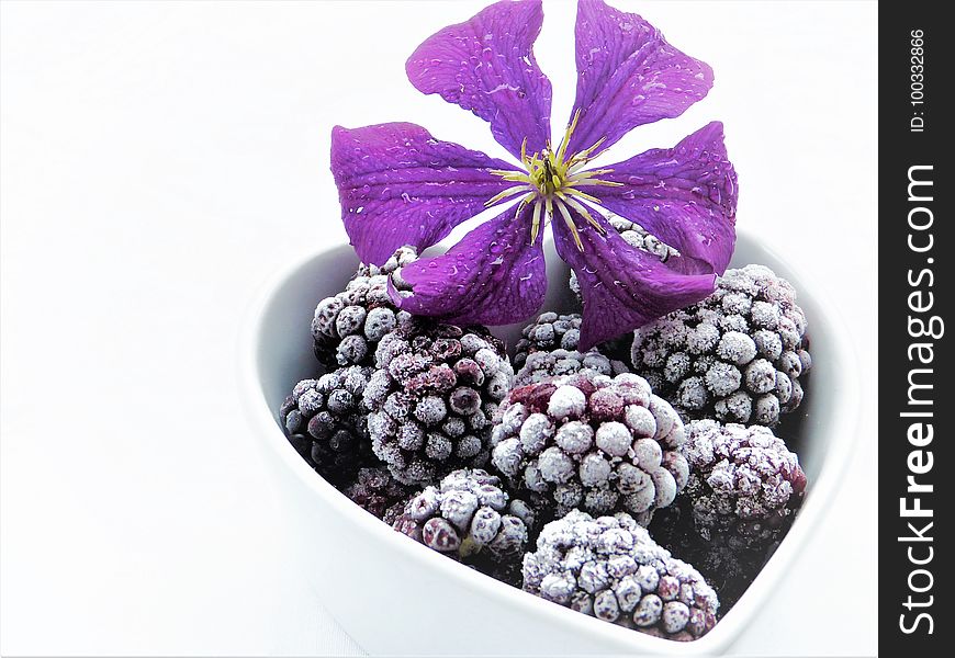 Purple, Violet, Fruit, Superfood