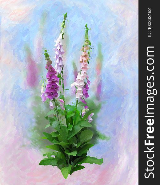 Flower, Watercolor Paint, Plant, Lilac