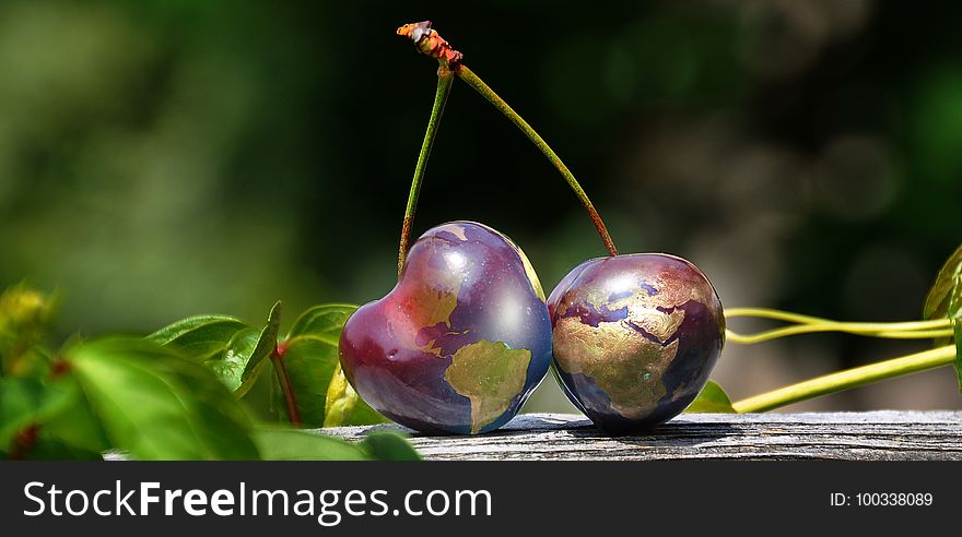 Fruit, Branch, Close Up, Cherry