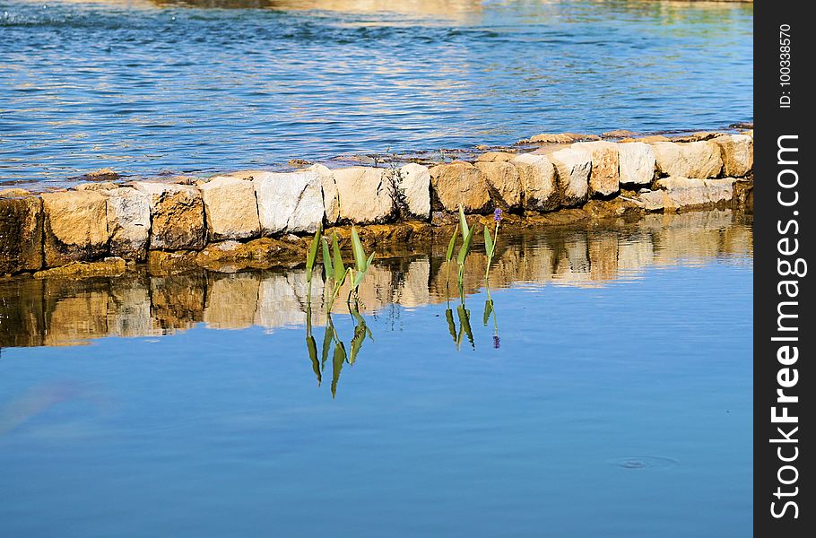 Reflection, Water, Sea, Water Resources