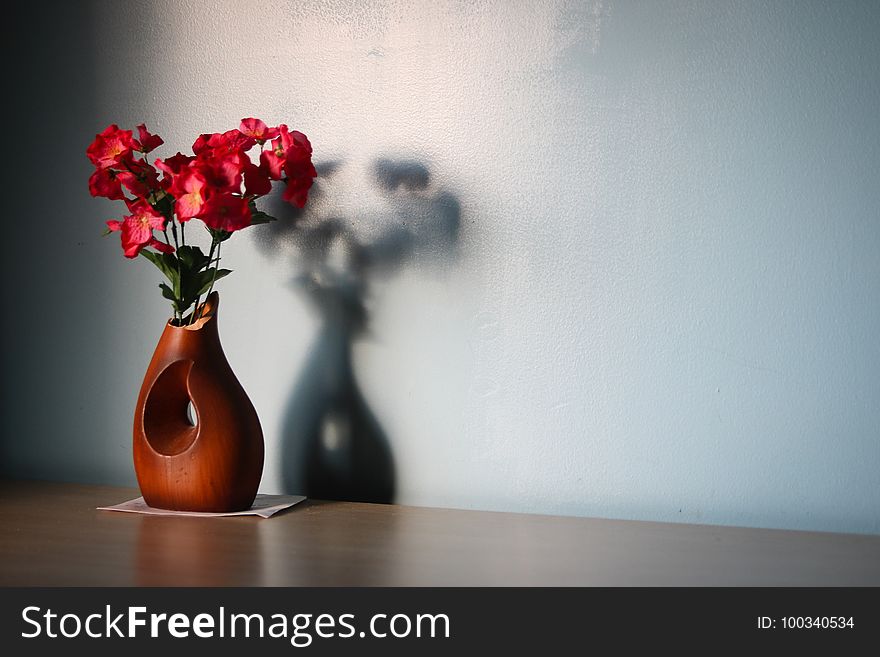 Flower, Red, Still Life Photography, Vase