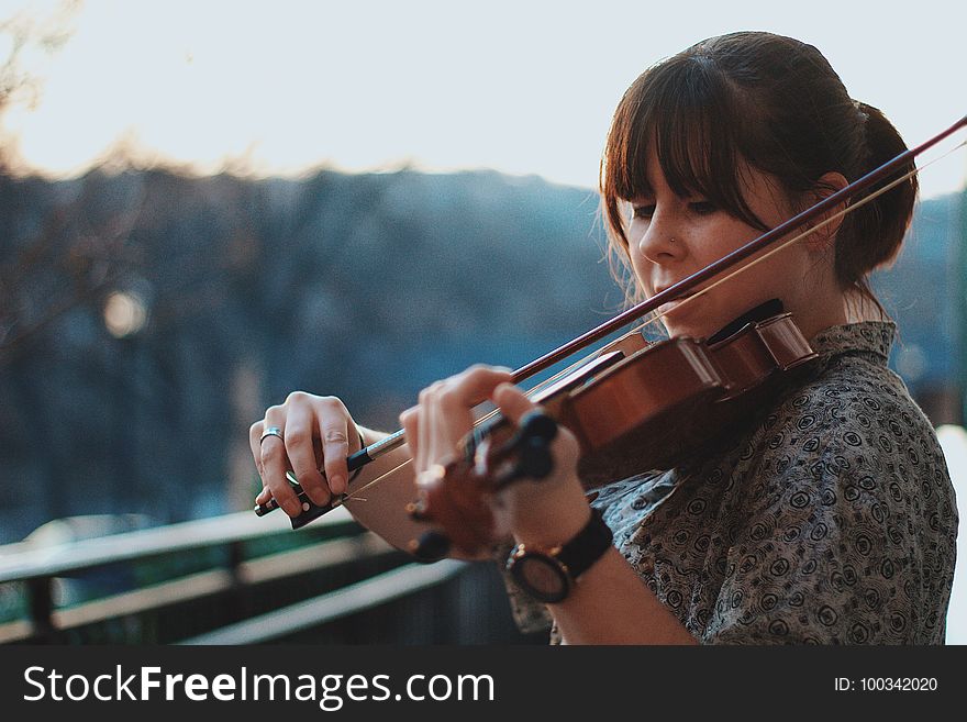 Violin, Violin Family, Violinist, Musical Instrument