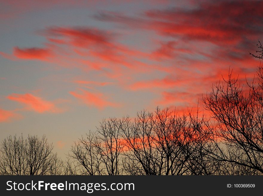 Sunrise On The Farm