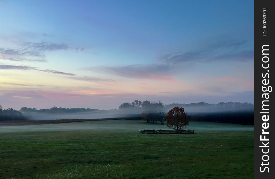 Early Morning Fog Over Princeton Battlefield Park