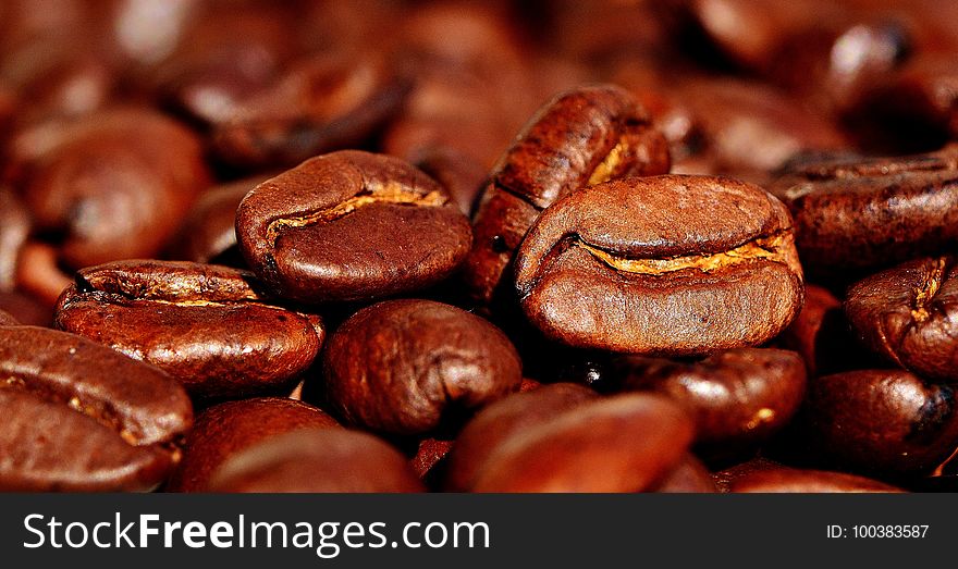 Jamaican Blue Mountain Coffee, Cocoa Bean, Caffeine, Bean
